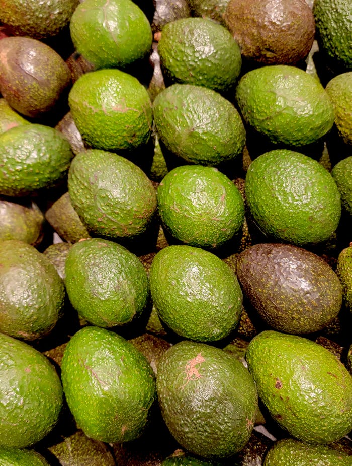Close-up of fresh organic avocados, showcasing their vibrant green color and abundance.