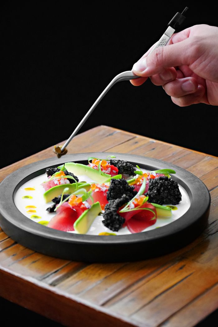 A hand garnishing a gourmet dish featuring avocado and caviar with artistic presentation.
